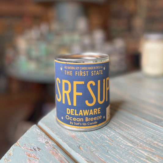 Delaware License Plate Ocean Breeze Paint Can Candle